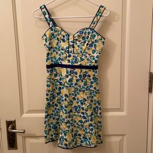 Blueberry & Lemon Dress